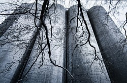 nature & industry Aalst