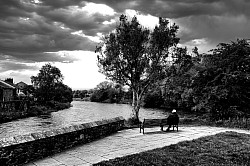 lonely